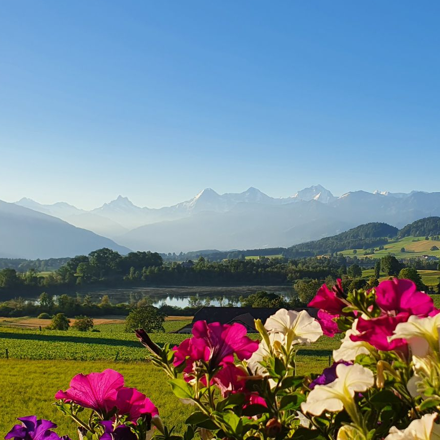 Aussicht-Oasenhof.jpg