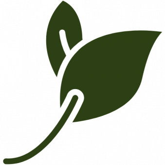 Oasenhof_natuerliche-Behandlung.png